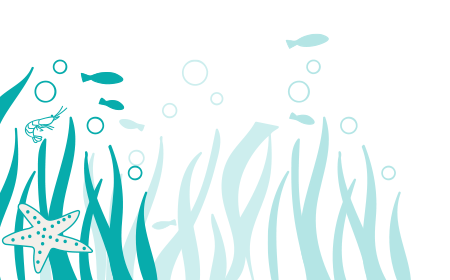 海の下1