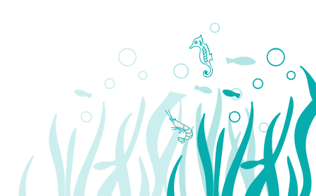 海の下2